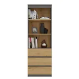 regal-rs-60-olimp-antracyt-dab-artisan-liczba-polek-3