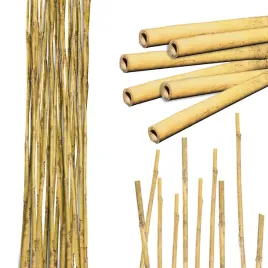tyczka-bambusowa-180cm-zestaw-25-sztuk-12-14-mm-podpora-palik-do-roslin