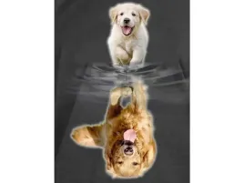 haft-diamentowy-obraz-mozaika-diamentowa-diamond