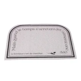 dywan-wycieraczka-wykladzina-do-drzwi-wejsciowyc