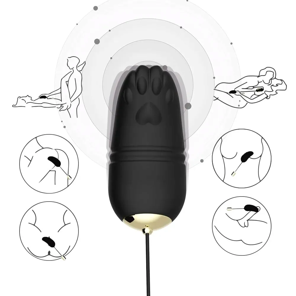 kitty-black-stan-nowy