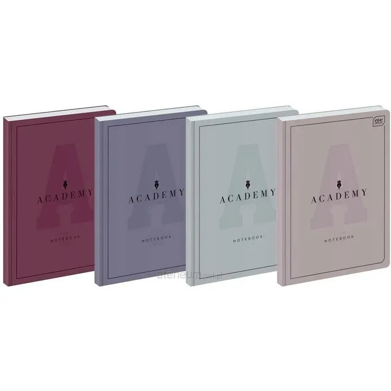 brulion-interdruk-academy-a5-96k-kratka-stan-nowy