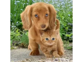 haft-diamentowy-obraz-mozaika-diamentowa-diamond