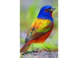 haft-diamentowy-obraz-mozaika-diamentowa-diamond