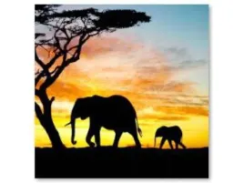 haft-diamentowy-obraz-mozaika-diamentowa-diamond