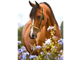 haft-diamentowy-obraz-mozaika-diamentowa-diamond