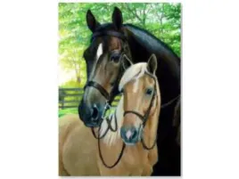 haft-diamentowy-obraz-mozaika-diamentowa-diamond