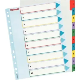 przekladki-kartonowe-mylar-a4-maxi-1-10-esselte-10