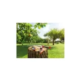 pila-do-galezi-multi-star-power-cut-pro-370-wolf-marka-wolf-garten