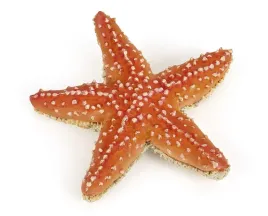 figurka-kolekcjonerska-rozgwiazda-papo