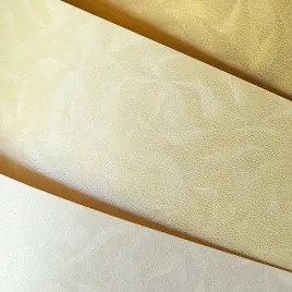 karton-ozdobny-a4-220g-olympia-kremowy-20