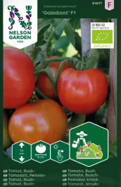 pomidory-malinowe-galadiant-f1-5-sztuk-odmiana-ekologiczna-typ-bawole-serce