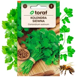 kolendra-siewna-nasiona-ziola-roslina-miododajna-2-g
