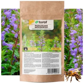 pszczelnik-moldawski-nasiona-roslina-miododajna-100-g