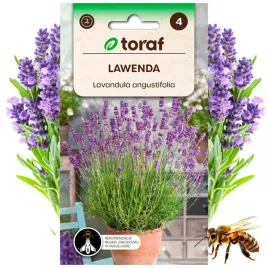 lawenda-lavendula-angustifolia-nasiona-roslina-miododajna-02-g