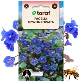facelia-dzwonkowata-roslina-miododajna-05-g