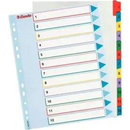 przekladki-kartonowe-mylar-a4-maxi-1-12-esselte-10