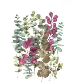 naklejki-transparentne-berberysy-12-szt-254042-galeria-papieru