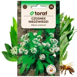 czosnek-niedzwiedzi-nasiona-kwiaty-liscie-jadalne-roslina-miododajna-025-g