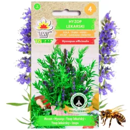 hyzop-lekarski-nasiona-ziola-roslina-miododajna-05-g