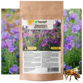 zmijowiec-babkowaty-nasiona-roslina-miododajna-100-g