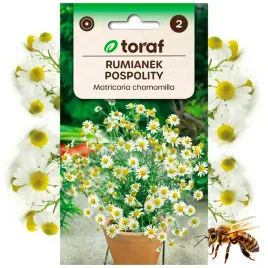 rumianek-pospolity-nasiona-ziola-roslina-miododajna-05-g