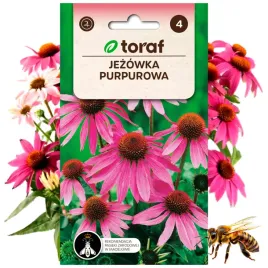 jezowka-purpurowa-roslina-miododajna-1-g