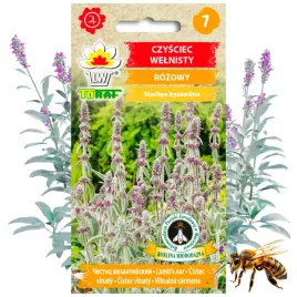 czysciec-welnisty-rozowy-bylina-roslina-miododajna-02-g