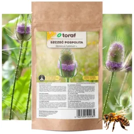 szczec-pospolita-nasiona-roslina-miododajna-100-g