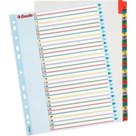 przekladki-kartonowe-mylar-a4-maxi-1-31-esselte-100210