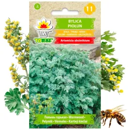 bylica-piolun-nasiona-ziola-roslina-miododajna-03-g