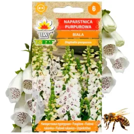 naparstnica-purpurowa-biala-roslina-miododajna-02-g