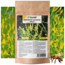 nostrzyk-lekarski-zolty-nasiona-roslina-miododajna-100-g