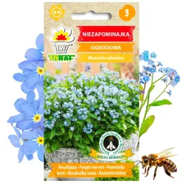 niezapominajka-ogrodowa-roslina-miododajna-03-g