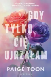 gdy-tylko-cie-ujrzalam-paige-toon