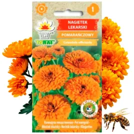 nagietek-lekarski-pomaranczowy-roslina-miododajna-1-g