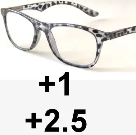 okulary-dwuogniskowe-dal-1-bliz-2-5