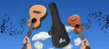 ukulele-sopranowe-winzz-nazwa-koloru-producenta-zolty