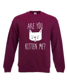 bluza-unisex-z-kotem-t-shirt-dla-kociary-kot-l