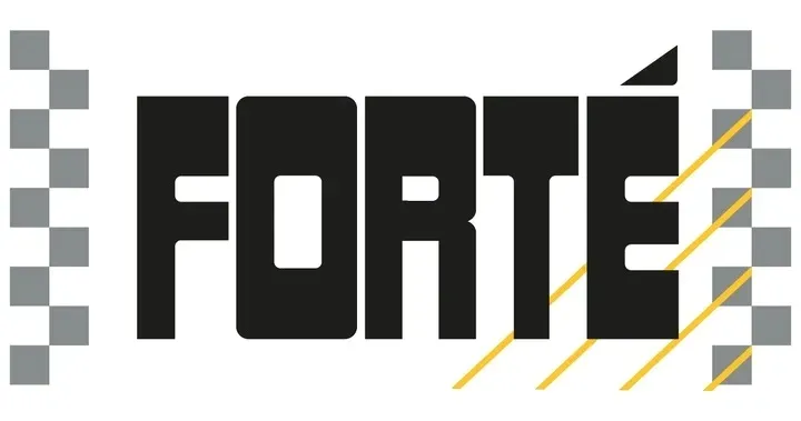 forte-motor-flush-new-generation-plukanka-silnika