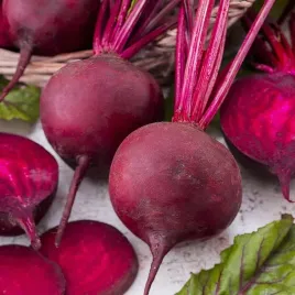 burak-cwiklowy-okragly-ciemnoczerwony-nasiona-10-g