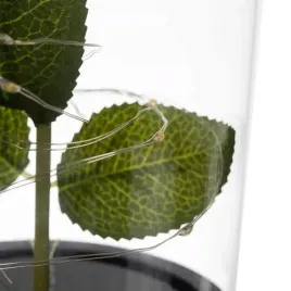 czerwona-wieczna-roza-pod-kloszem-led-prezent-walentynki-dzien-kobiet