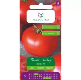 pomidor-gruntowy-karlowy-reniro-f1