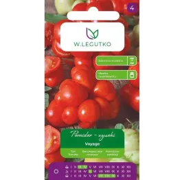 pomidor-gruntowy-tyczny-voyage-05g-nasiona-w-legutko