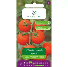 pomidor-gruntowy-tyczny-agent-f1