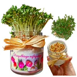 rzezucha-w-mini-sloiku-z-dekoracja-na-wielkanoc-ozdoba-swiateczna-trawka