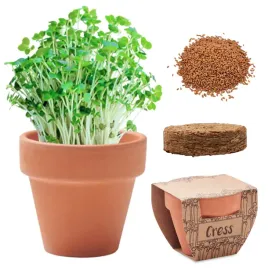 rzezucha-do-zasiania-zestaw-doniczka-torf-wielkanoc-doniczka-torf-nasiona