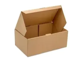 pakiet-karton-wykr-330x250x250mm-10-szt