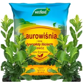 westland-nawoz-do-laurowisni-i-innych-zywoplotow-lisciastych-krzewienie-5kg