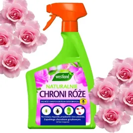 westland-spray-chroni-roze-na-choroby-grzybowe-mszyce-macznik-przedziorek